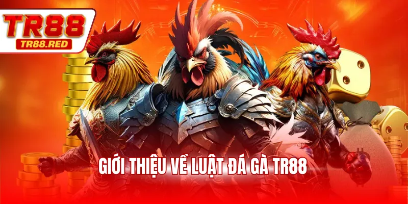 Giới thiệu về luật đá gà